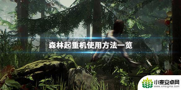 steam森林起重装置怎么放置 森林游戏起重机怎么使用