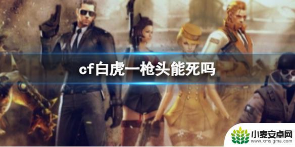 cf白虎一枪爆头吗 《CF》白虎一枪头是否能秒杀