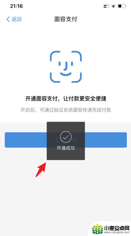 苹果手机进入支付页面怎么设置面容 支付宝面容支付在苹果手机上怎么设置
