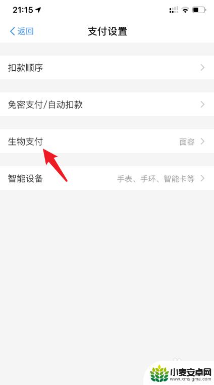 苹果手机进入支付页面怎么设置面容 支付宝面容支付在苹果手机上怎么设置