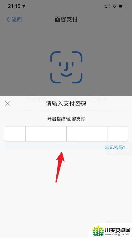 苹果手机进入支付页面怎么设置面容 支付宝面容支付在苹果手机上怎么设置