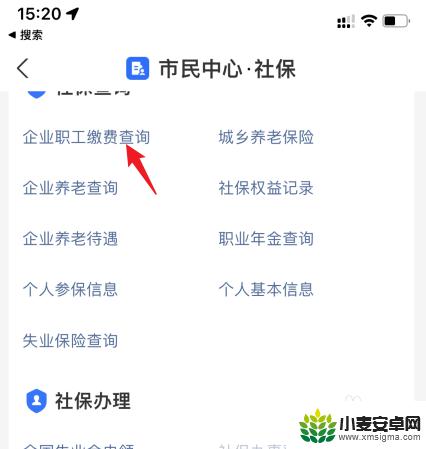 怎么手机查询社保缴费记录 在手机上查询个人社保缴费明细步骤