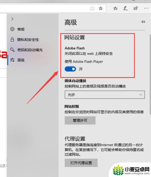 自带flash的浏览器电脑 Win10自带浏览器Adobe Flash Player插件启用教程