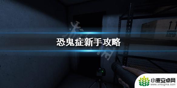 steam恐鬼症怎么赚钱 《Phasmophobia》恐鬼症游戏新手必知技巧