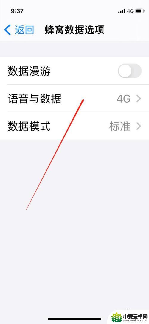 5g在苹果手机哪里打开 iPhone手机5g信号怎样开启