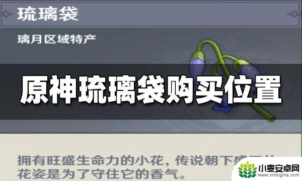 原神袋子怎么买 原神琉璃袋购买地点攻略