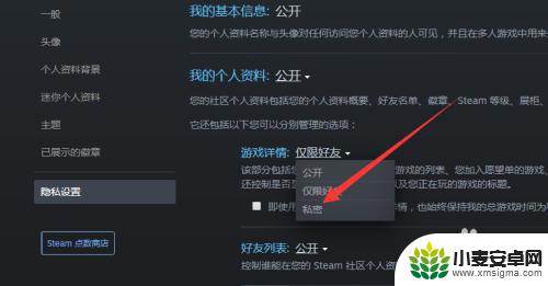 steam怎么设置别人看不到自己的游戏 Steam好友如何看不到我在玩游戏