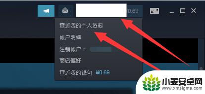 steam怎么设置别人看不到自己的游戏 Steam好友如何看不到我在玩游戏