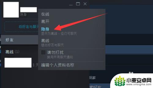 steam怎么设置别人看不到自己的游戏 Steam好友如何看不到我在玩游戏