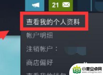 steam最新动态设置 steam如何设置隐藏个人游戏动态