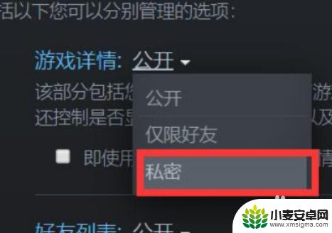 steam最新动态设置 steam如何设置隐藏个人游戏动态