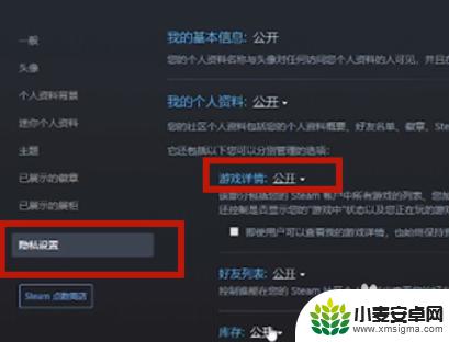 steam最新动态设置 steam如何设置隐藏个人游戏动态