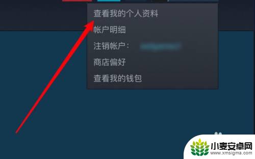 steam如何查看注册年份 Steam账号注册日期怎么看