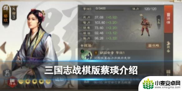 三国志战棋版步练师和蔡琰 《三国志战棋版》蔡琰战法推荐