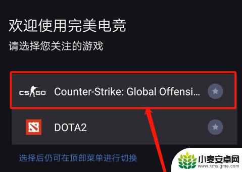 怎么从steam手机app看csgo等级 手机上怎么查看CSGO战绩