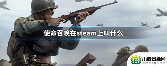 steam游戏cod 使命召唤系列在steam上的名称