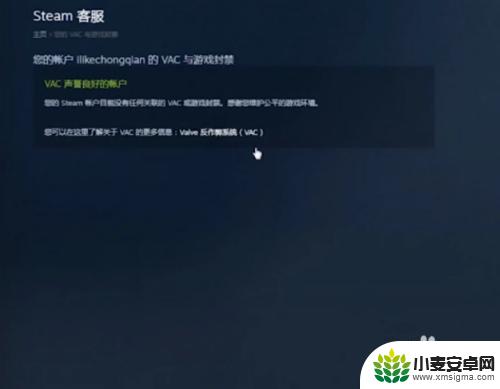 手机怎么查steam封号 怎样查看Steam吃鸡账号被封消息