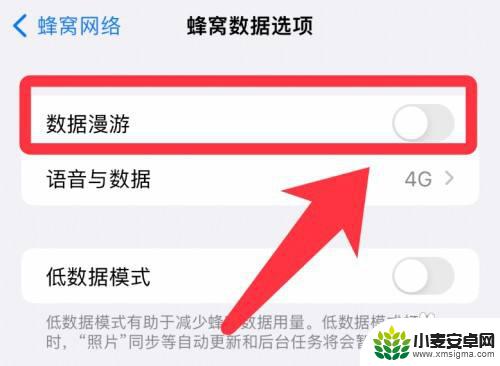 iphone13没有数据漫游 iPhone手机数据漫游开启步骤