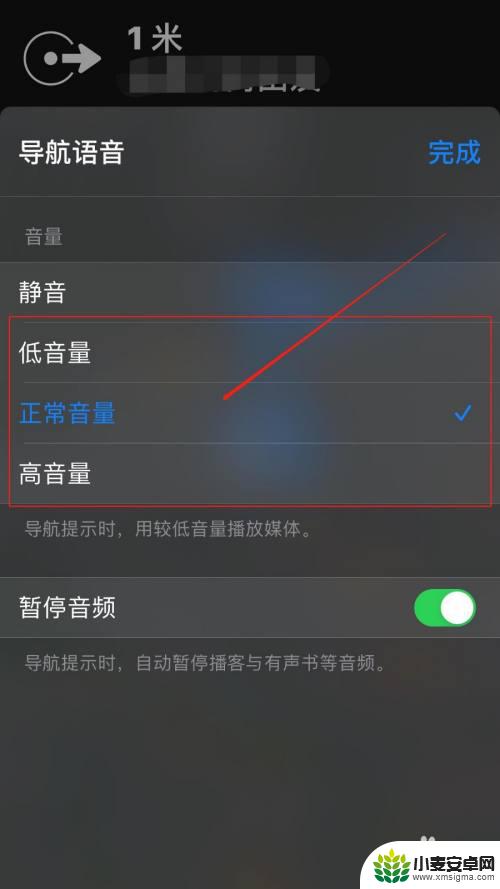 手机导航语音怎么设置声音 苹果手机地图语音导航设置步骤