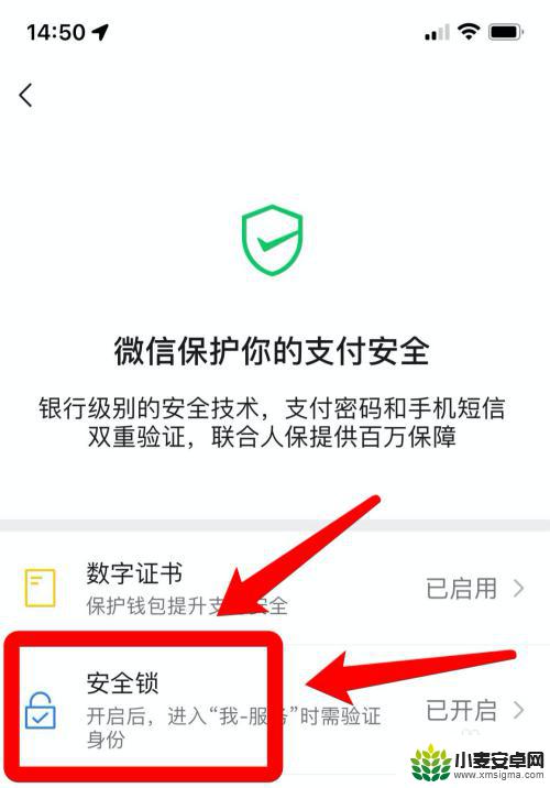 苹果手机微信零钱怎么设置密码锁不让别人看 如何设置苹果微信密码锁