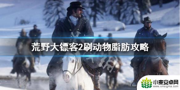 荒野大镖客2怎么获取脂肪 荒野大镖客2 刷动物脂肪攻略