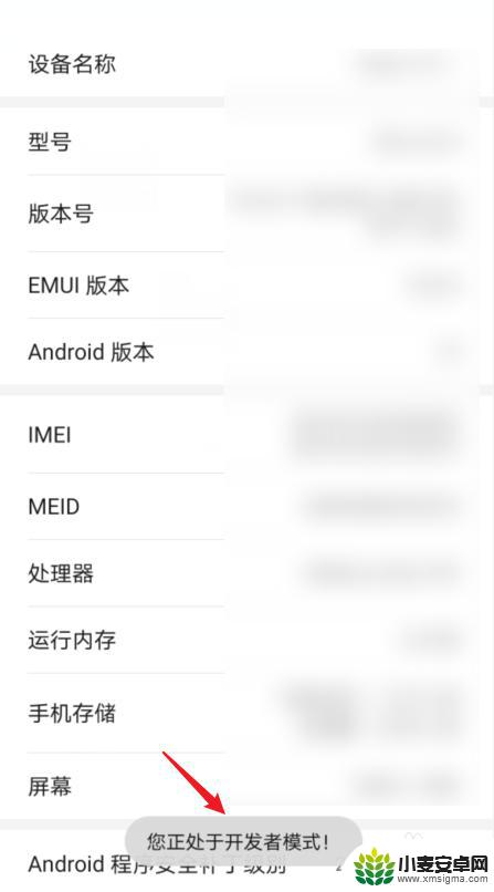 华为手机里找不到开发者选项怎么办 华为手机开发者选项消失怎么办