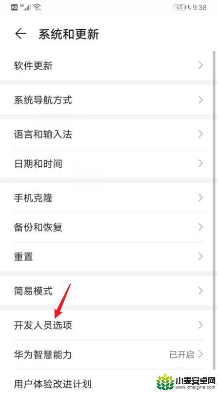 华为手机里找不到开发者选项怎么办 华为手机开发者选项消失怎么办