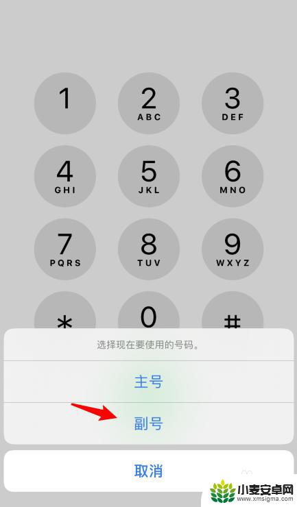 手机的主号和附号怎么设置 iPhone11怎么切换双卡通话