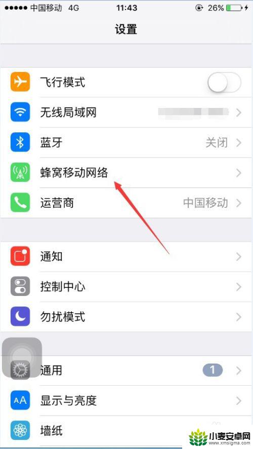 苹果手机连接无线网显示无网络连接 苹果手机怎么开启网络连接