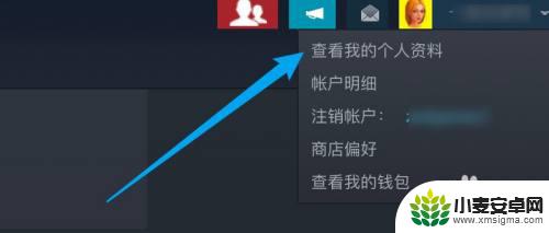 steam怎么取消隐私模式 Steam隐私设置教程