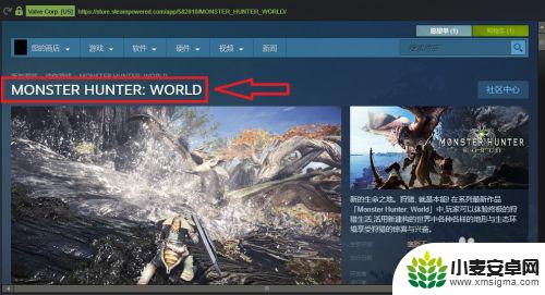 怪物猎人只能在steam上玩吗 Steam怪物猎人如何玩