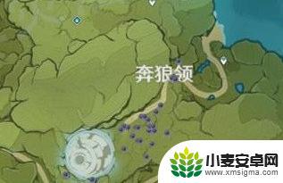 钩钩果在哪里原神 原神钩钩果刷刷地点