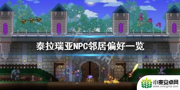 泰拉瑞亚npc幸福度怎么看 《泰拉瑞亚》NPC邻居偏好解析