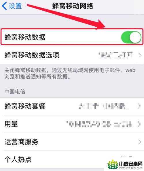 苹果手机怎么设置移动数据流量 如何在苹果手机上设置流量限制