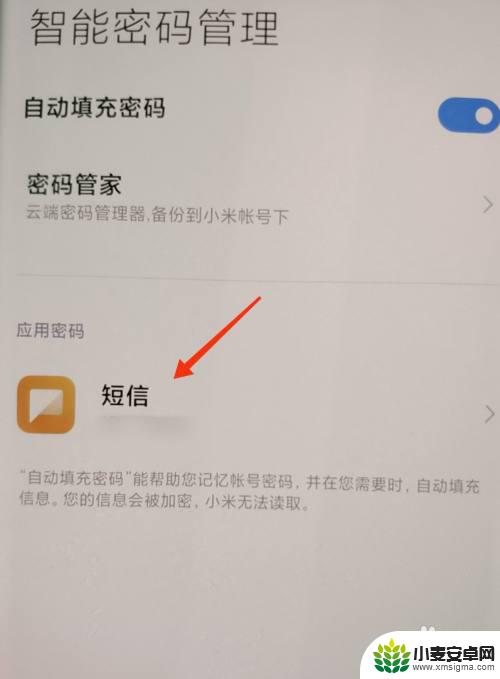 小米手机密码管理储存的密码在哪里查看 怎么在小米密码管理中查看密码