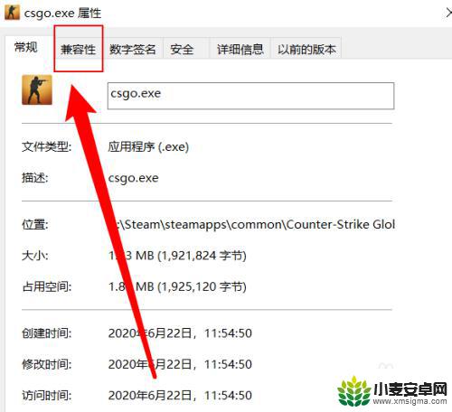 steamcsgo进不去游戏闪退 win10 csgo闪退至桌面无法解决怎么办