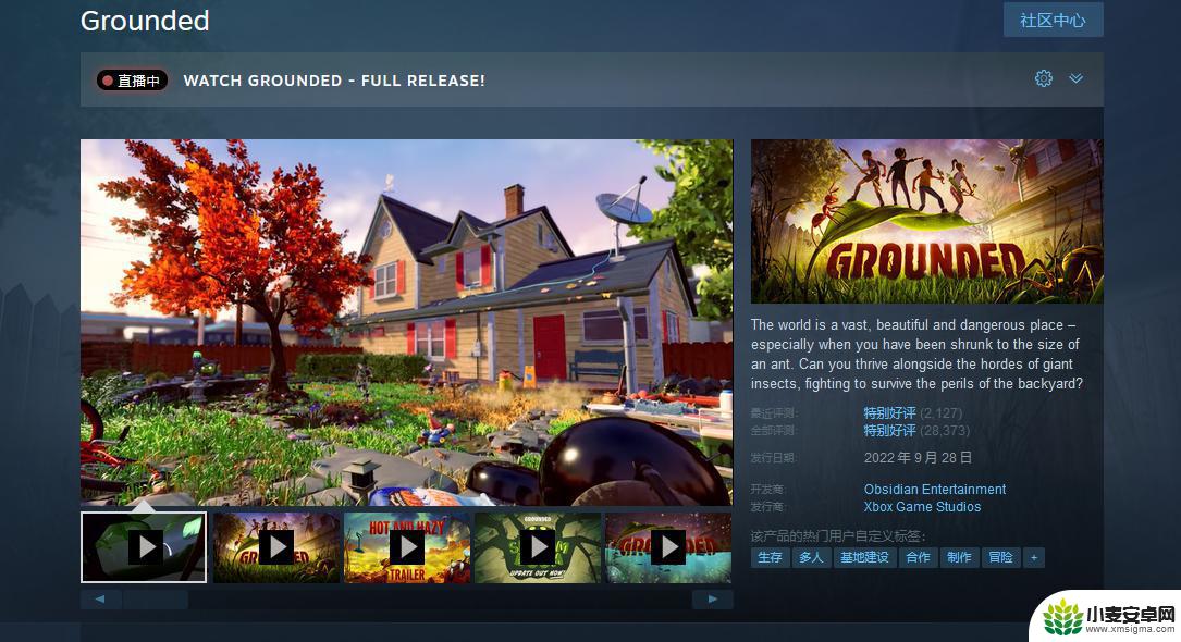 steam禁闭求生叫什么 Grounded禁闭求生steam价格