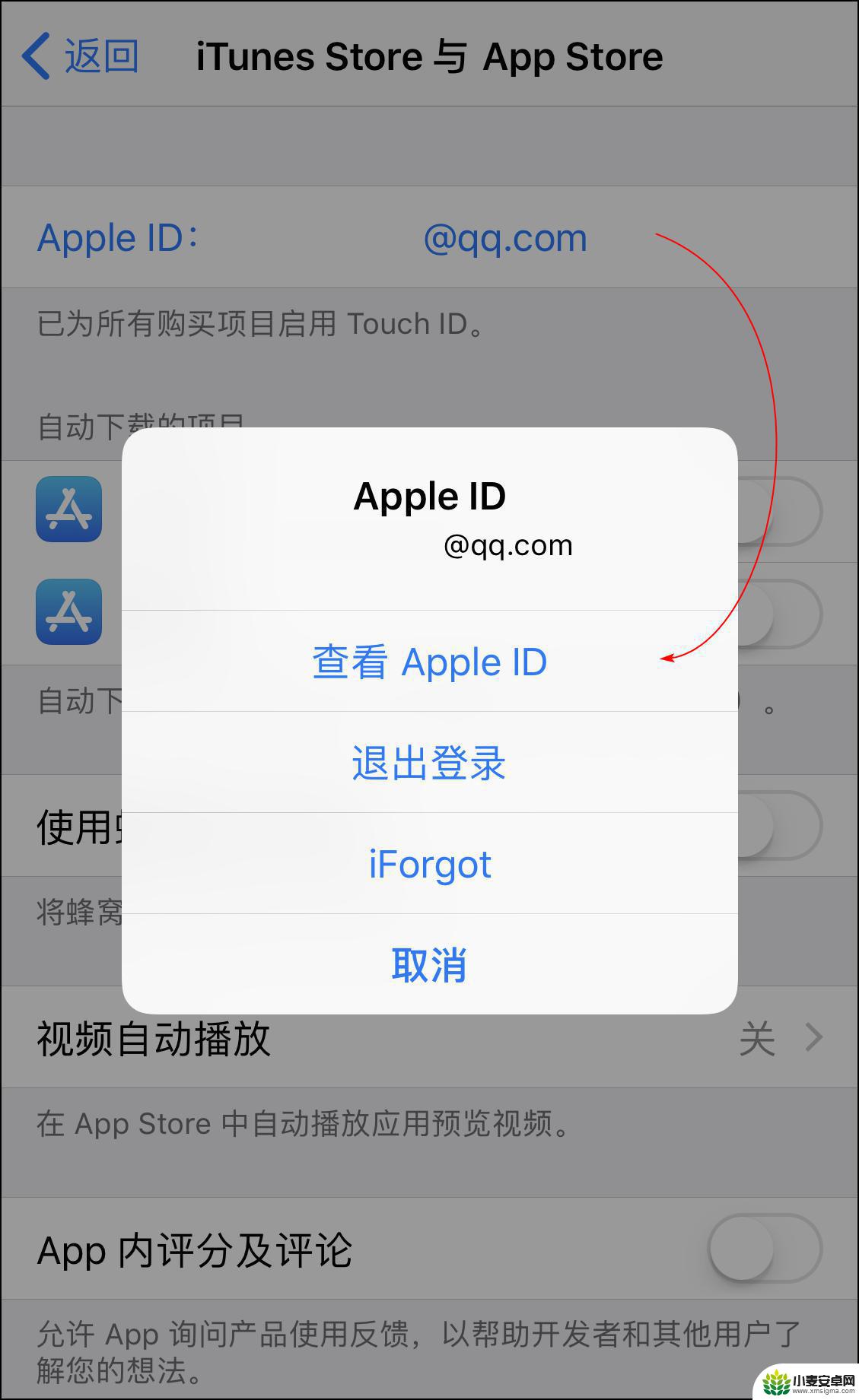 苹果手机如何查软件扣费 查看App Store或iTunes Store中的付费项目步骤