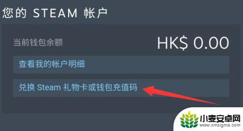 steam阿区怎么充值 steam阿根廷区信用卡支付