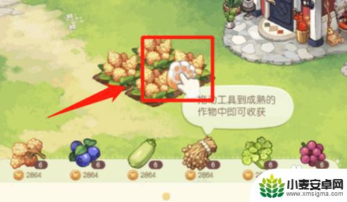 奥比岛怎么收菜 奥比岛手游收菜地点