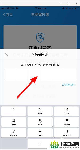 手机如何设置付款码 支付宝付款码密码设置方法