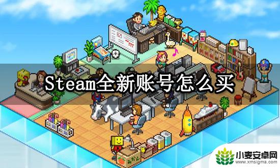 steam游戏账号去哪里购买 全新Steam空白号怎么购买