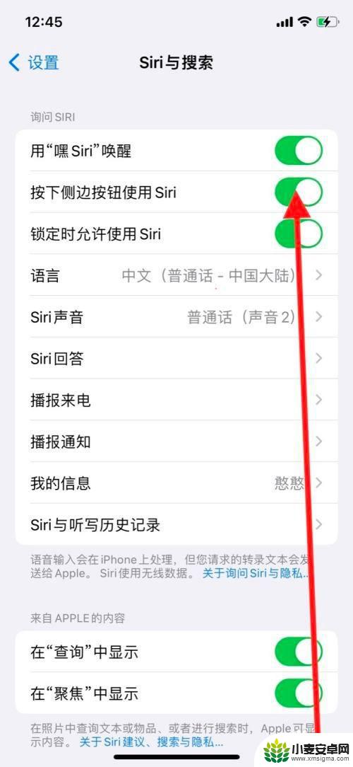 苹果手机怎么召唤siri,不按按键 苹果手机如何关闭按下侧边键打开Siri功能