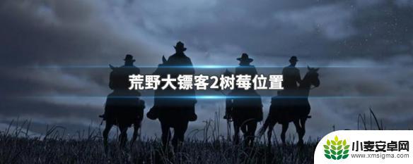 荒野大镖客2树莓4种 荒野大镖客2树莓地图标记