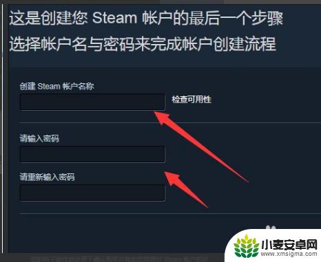 steam的电子邮件地址怎么注册 Steam创建账号电子邮件地址填写步骤