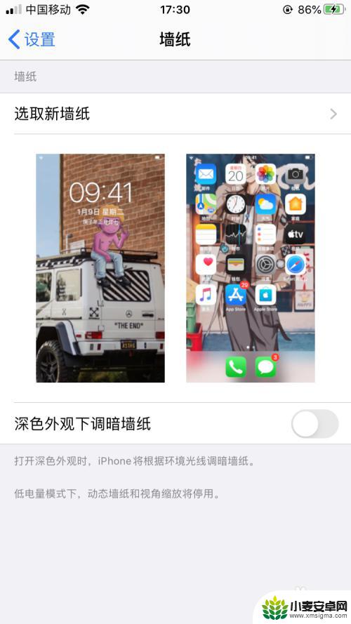 手机闪图怎么设置壁纸 iPhone如何将动态图设置为背景壁纸