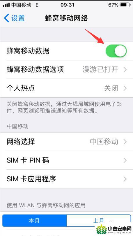 接入互联网登录ipad什么意思 苹果手机如何接入互联网