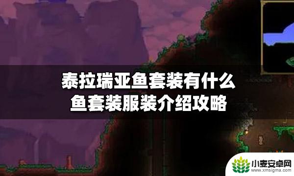 泰拉瑞亚鱼服装 泰拉瑞亚鱼套装服装介绍