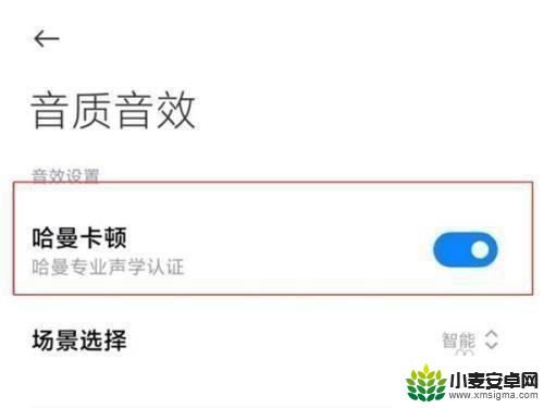 手机音效设置在哪 小米10s手机音效设置教程