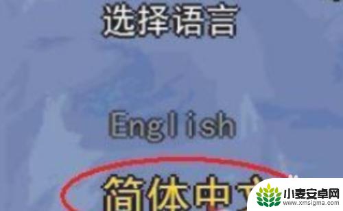 电脑泰拉瑞亚怎么转中文 泰拉瑞亚中文设置教程电脑版